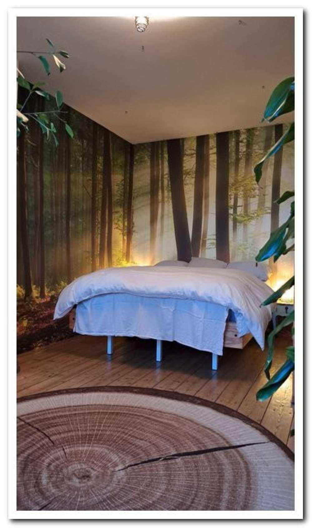 Morgonsol blockerar träden