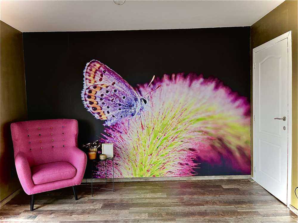 Röd fjäril på blomman