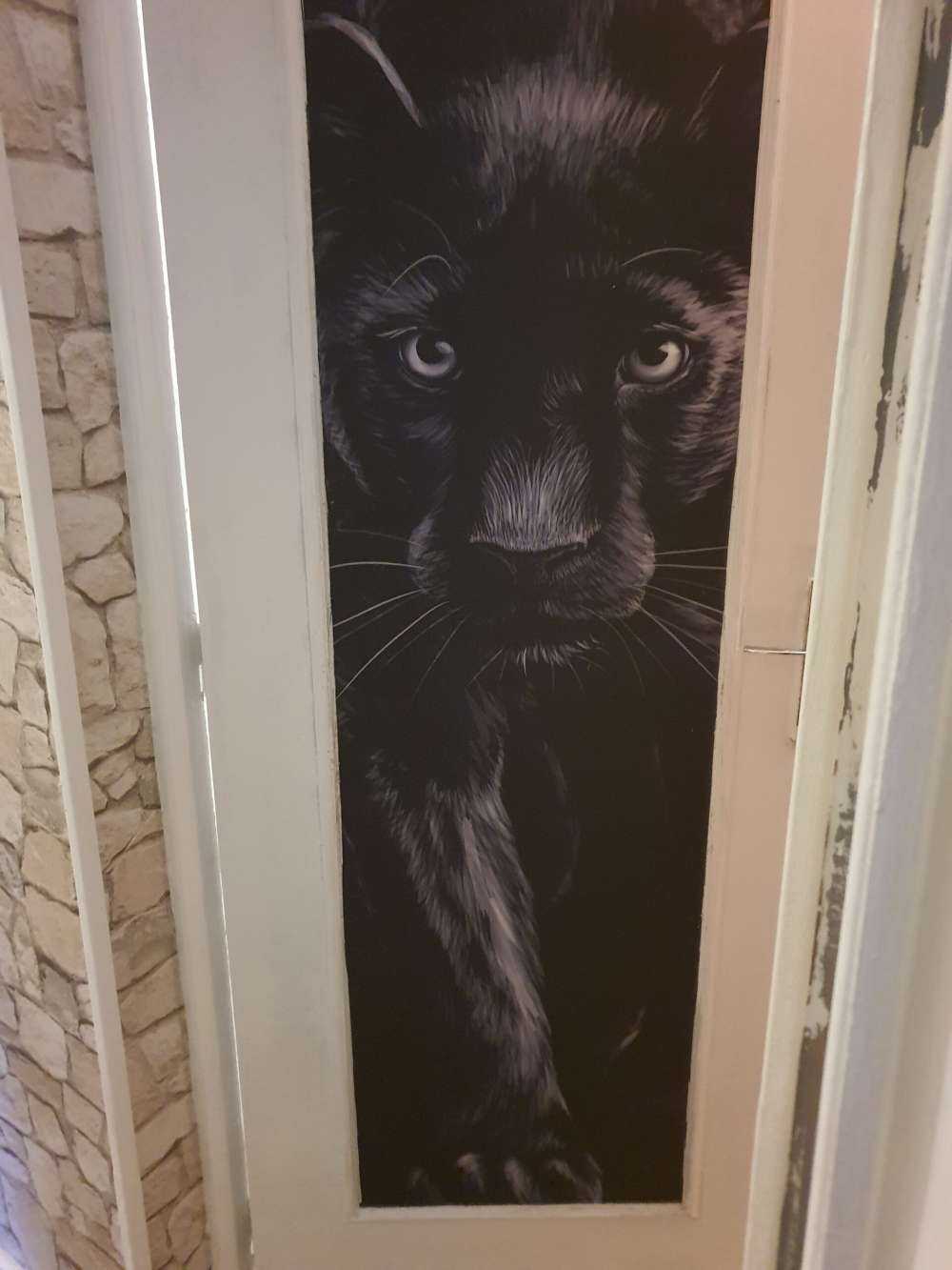 Panter på flykt