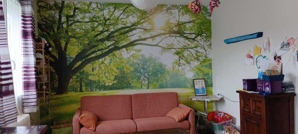 vakret tre med grønt gress