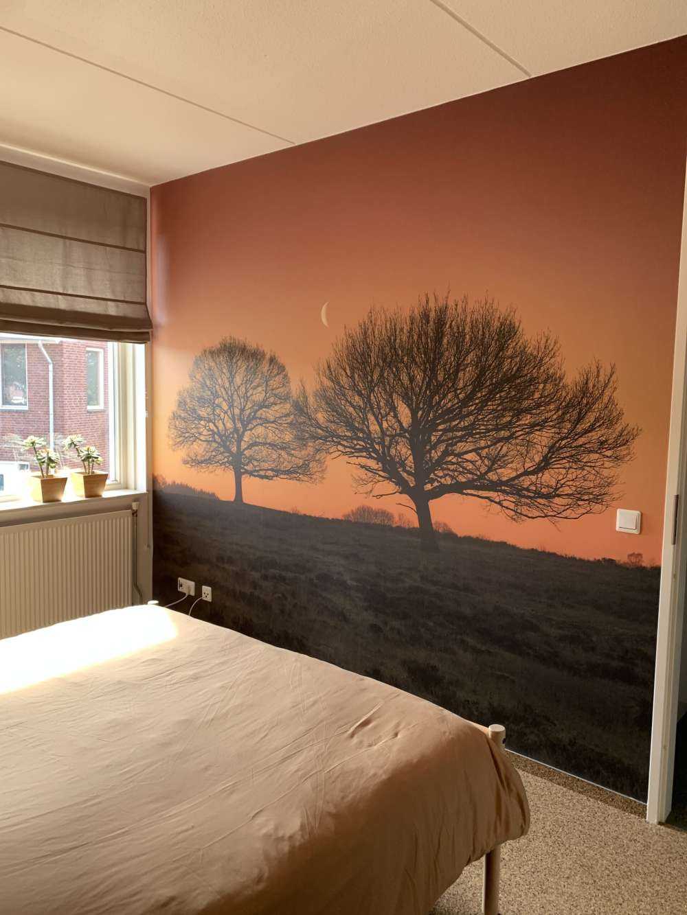 Maantje tussen de bomen