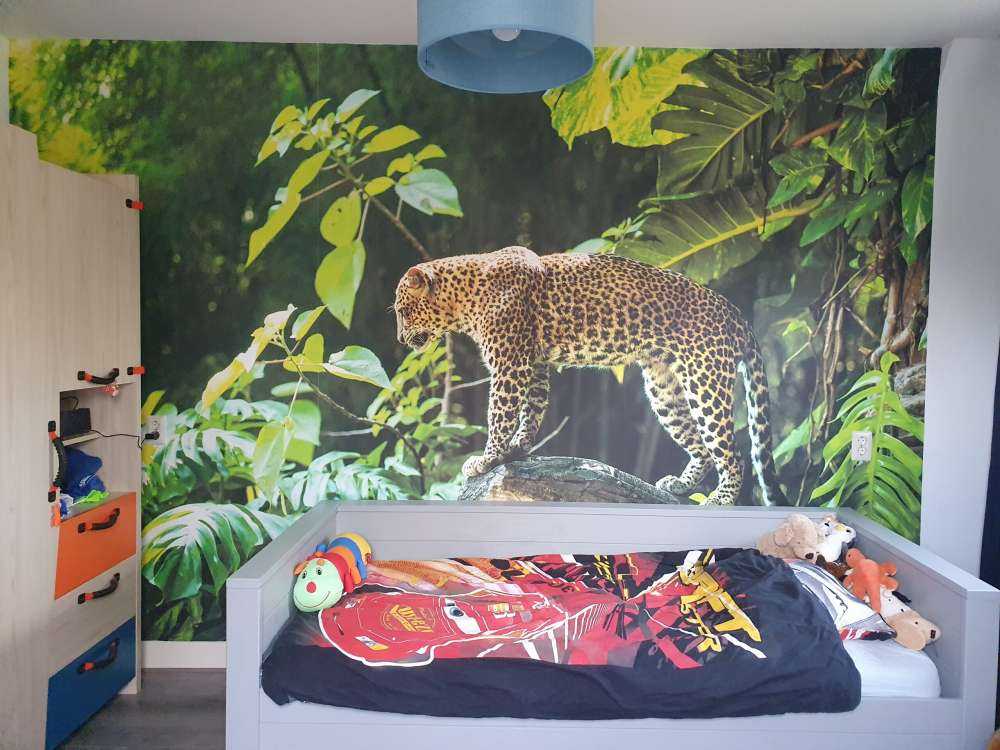 Leopard på en klippe