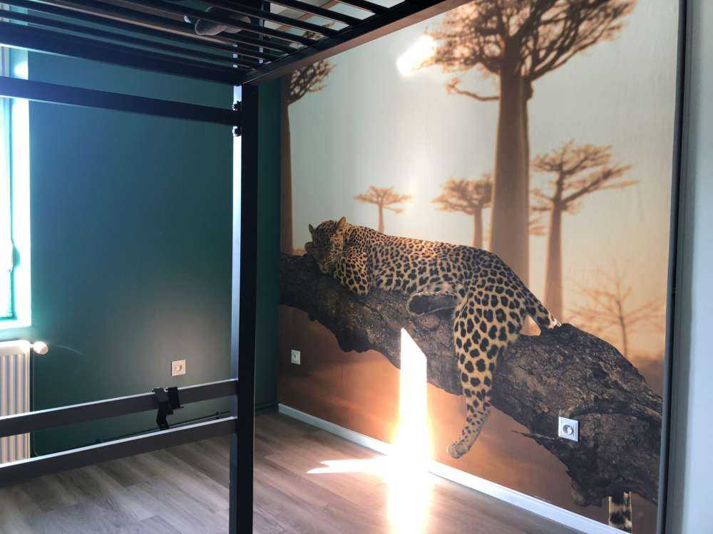 Sovende leopard