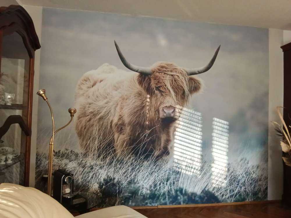 Det skotske høylandet i naturen