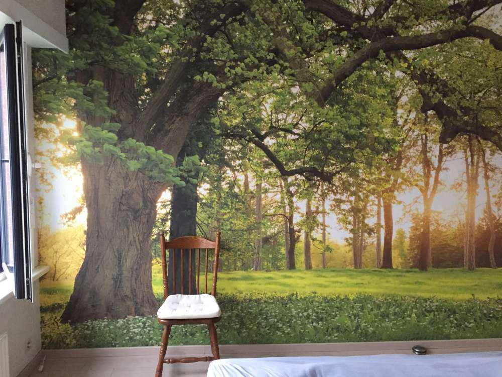 Åpen plass i skogen