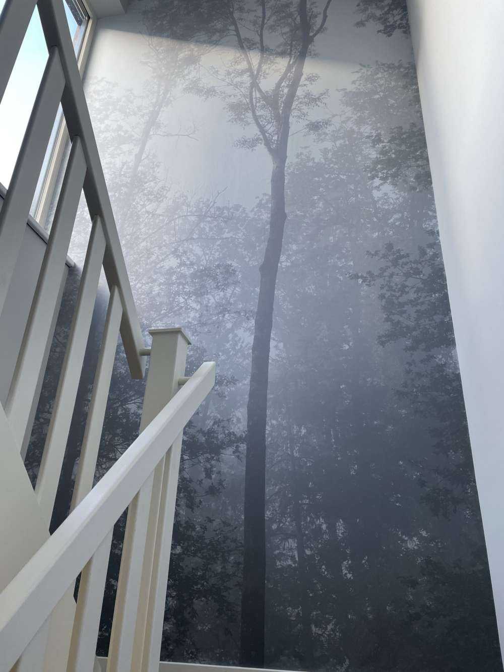 Tät dimma i skogen