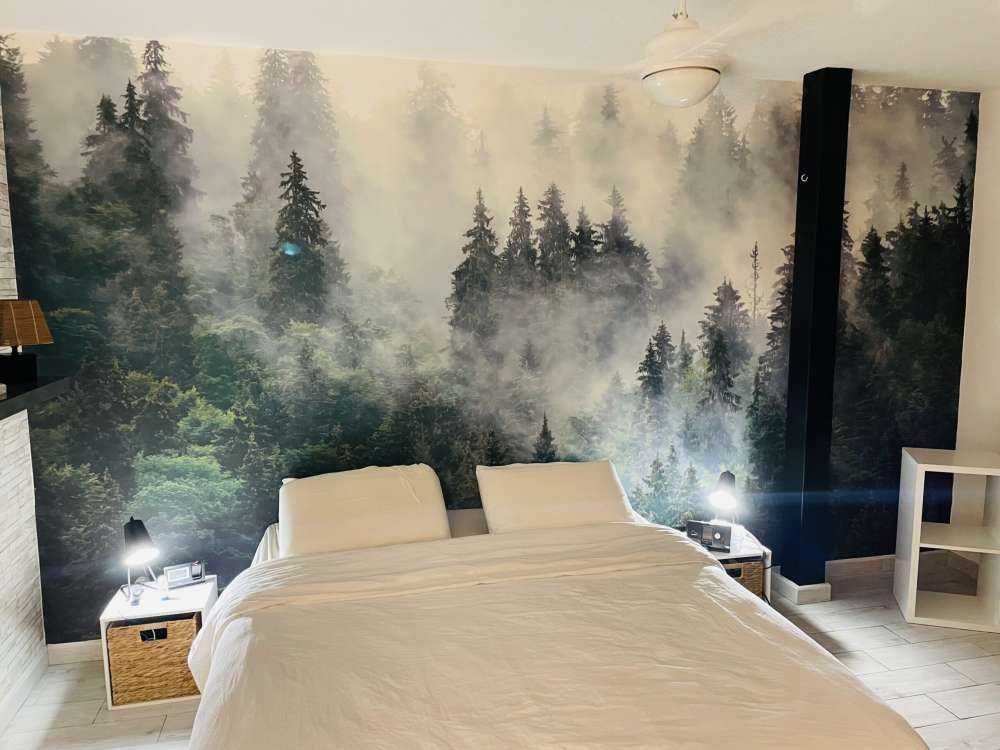 Dimmigt landskap med gröna träd