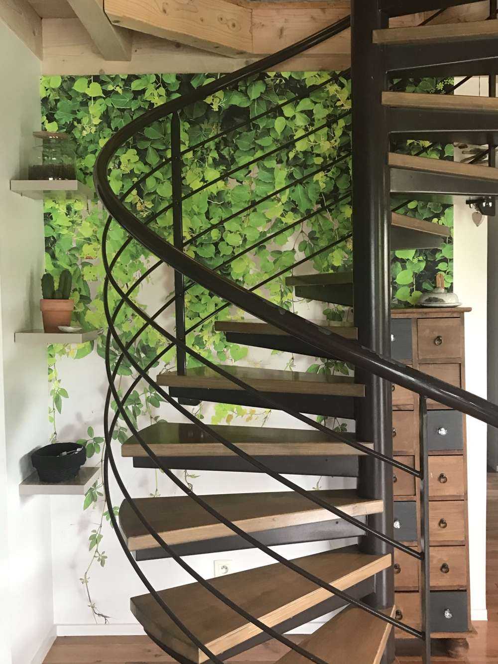 Gröna hängande grenar