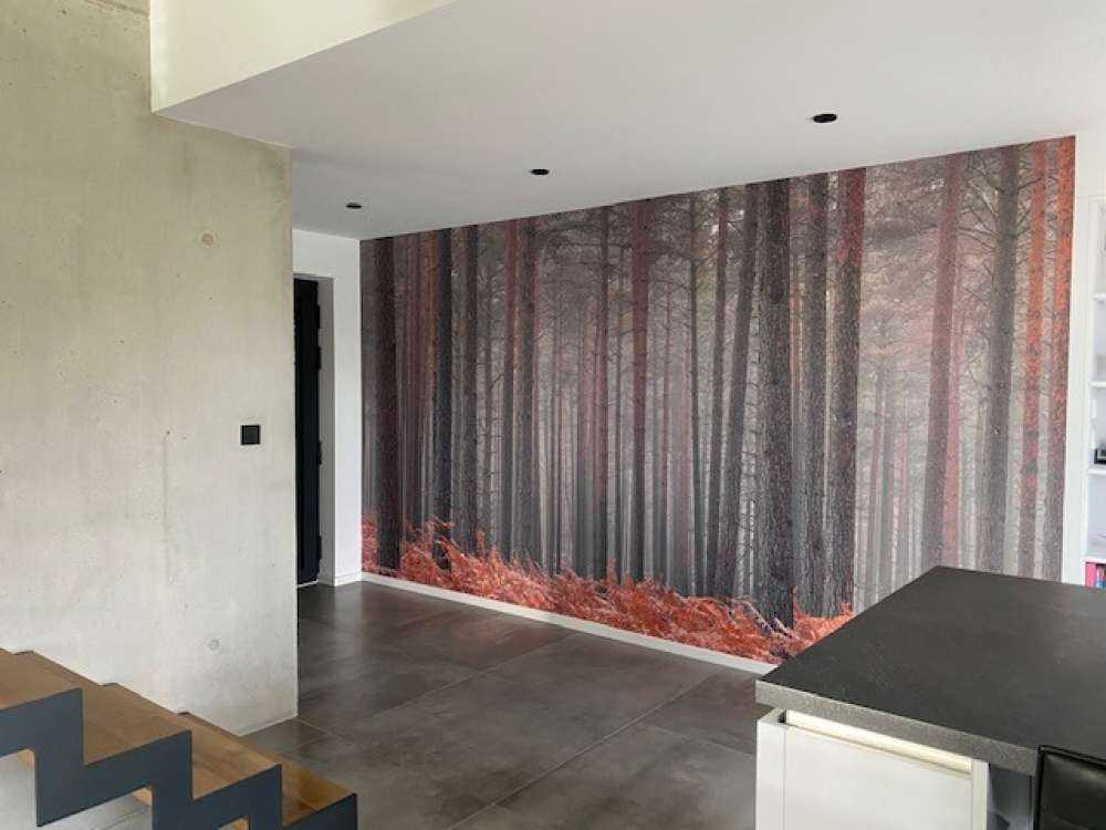 Træer om efteråret