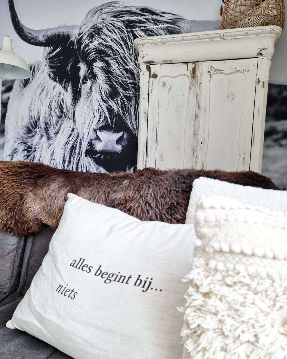 Scottish højlander i sort og hvid