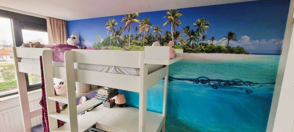 Tropisk ø og koralrev