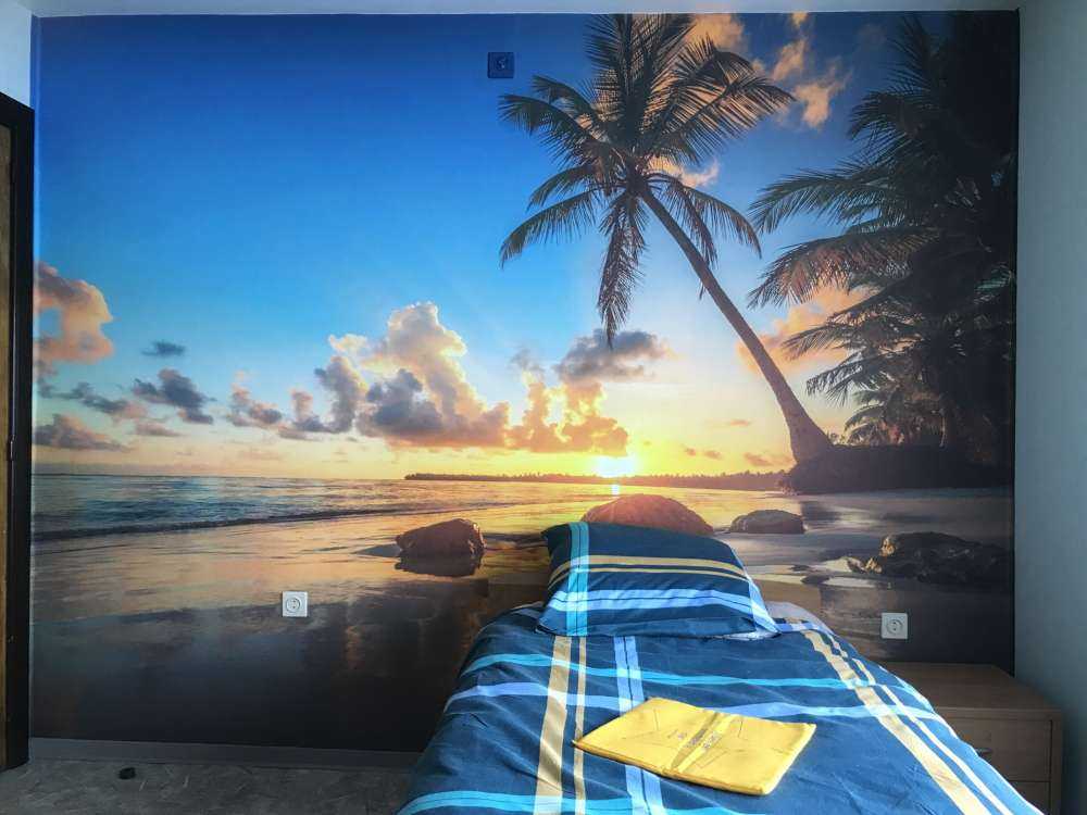 Palmetræer ved solnedgang