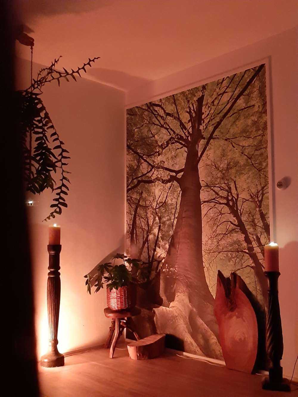 Stort træ og rødder