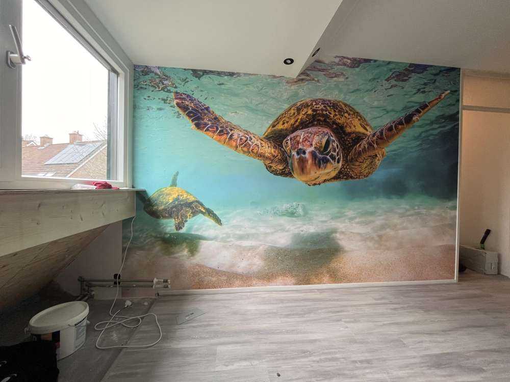 Havskildpadde i havet