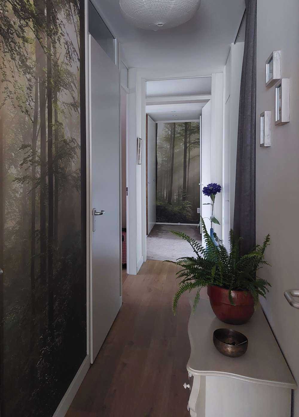 Grønn skog i tåken