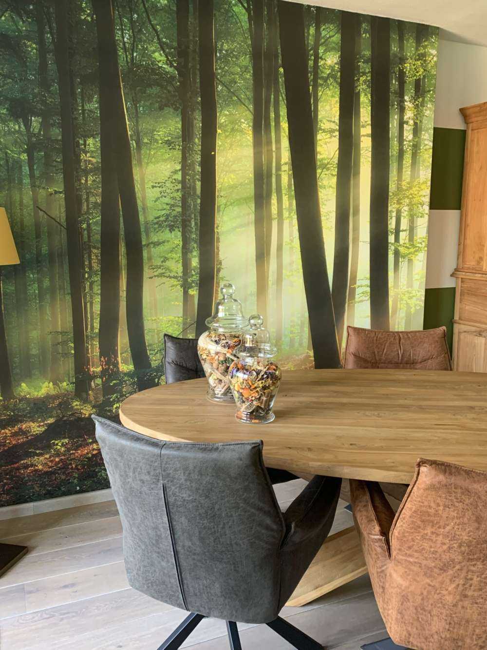 Morgensol blant trærne