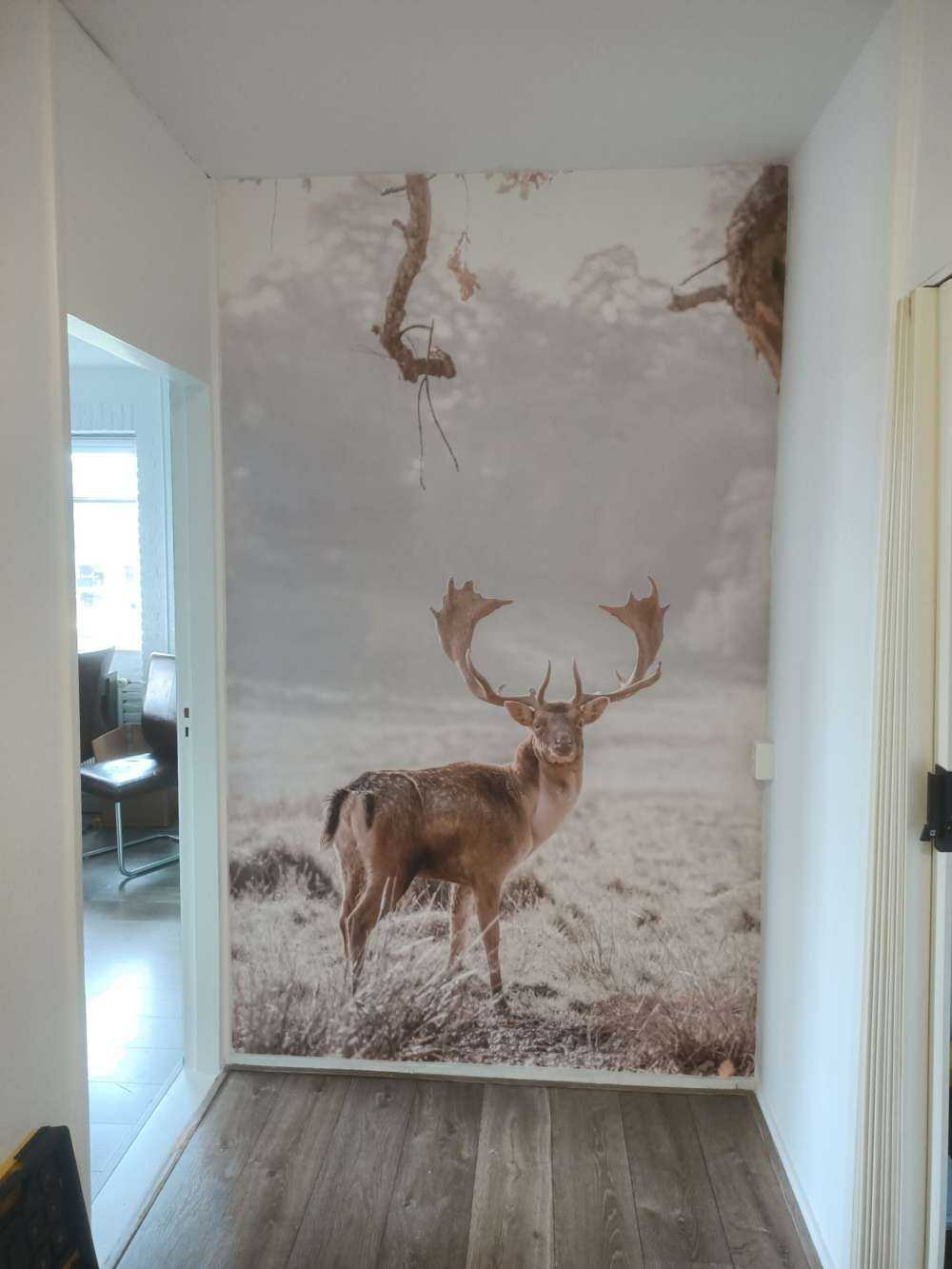 Rådjur på ett fält