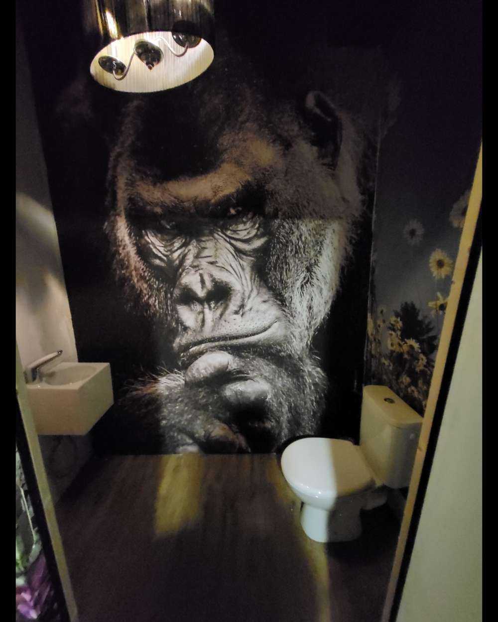 Närbild av en gorilla