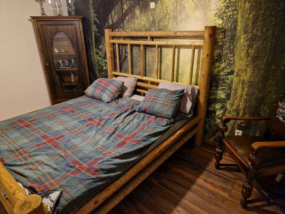 Djungel med solstrålar