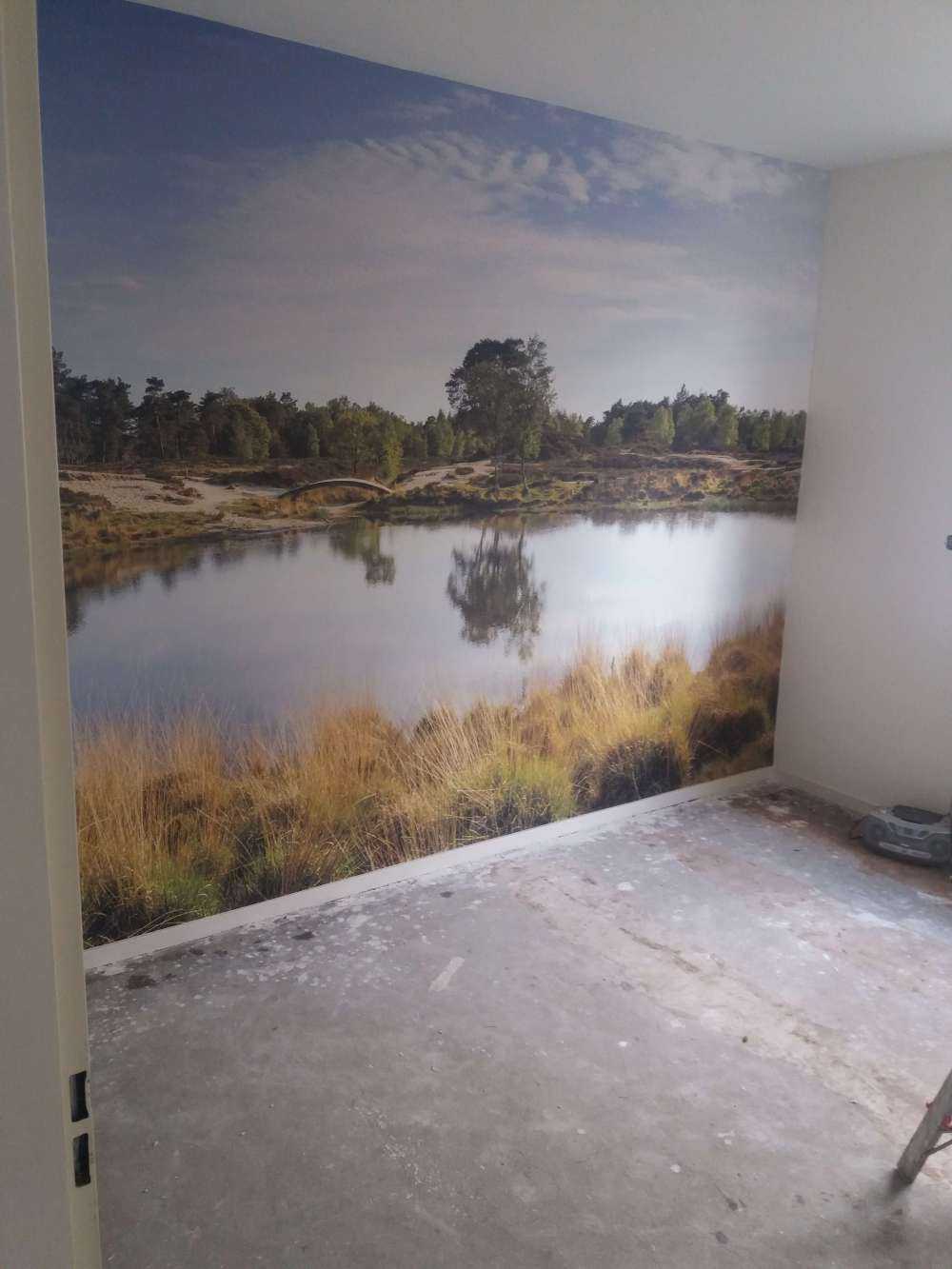 En liten skogsjø i lyngområdet