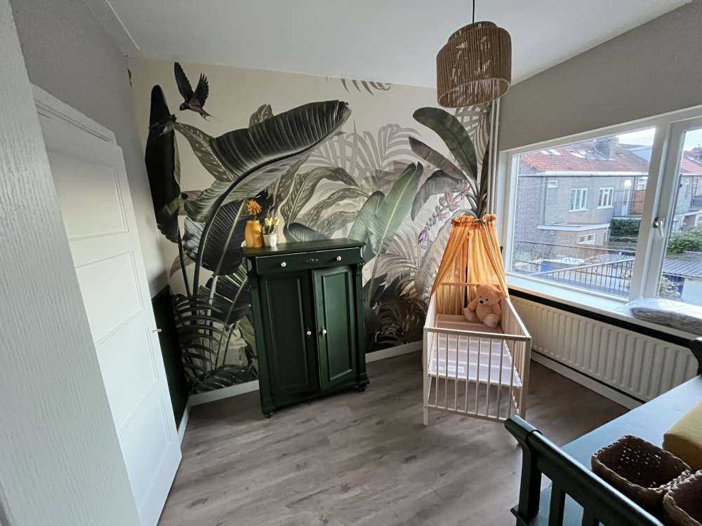 Planter i jungelen