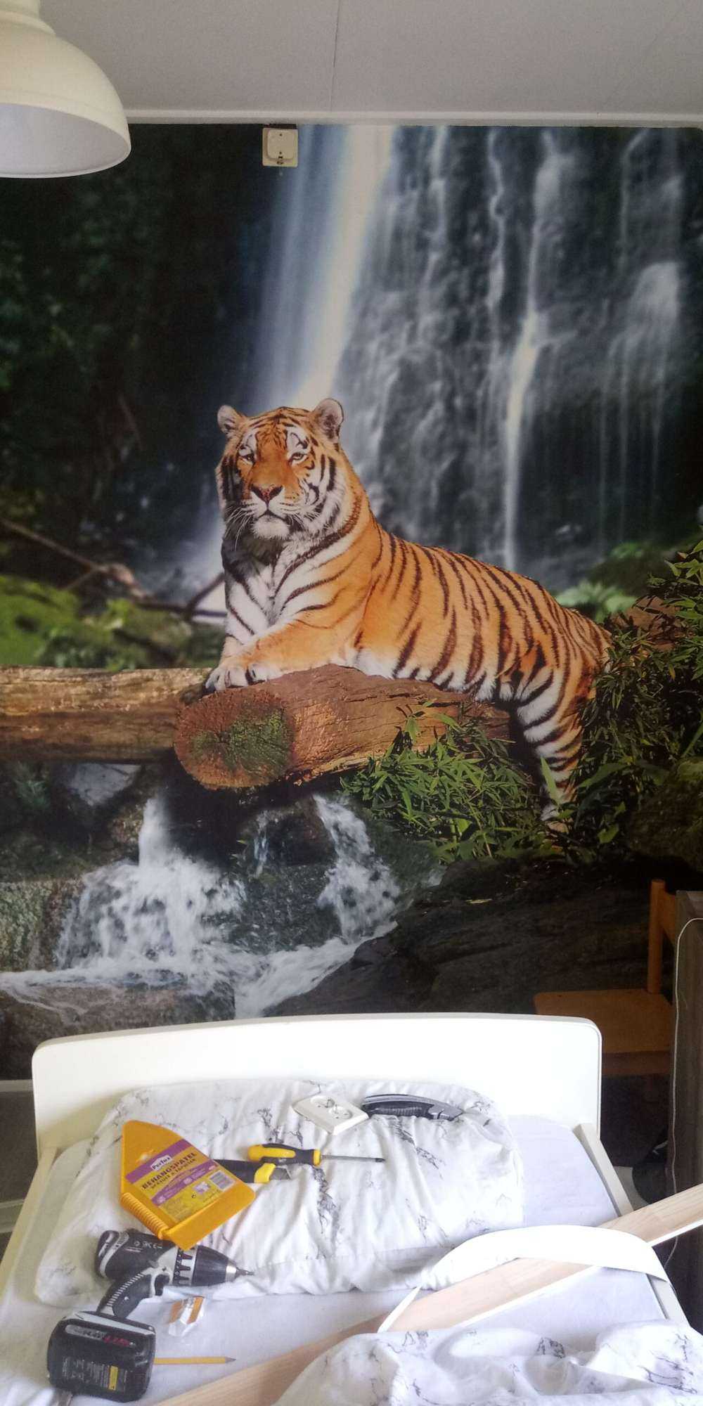 Tiger i jungelen