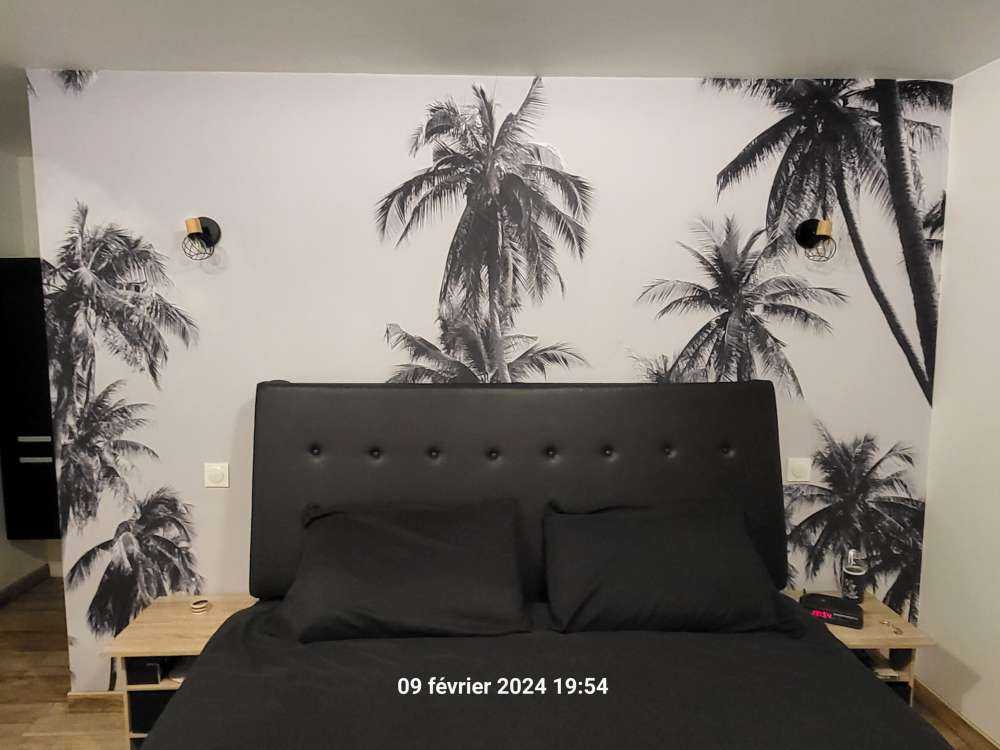 Palmer i svart og hvitt