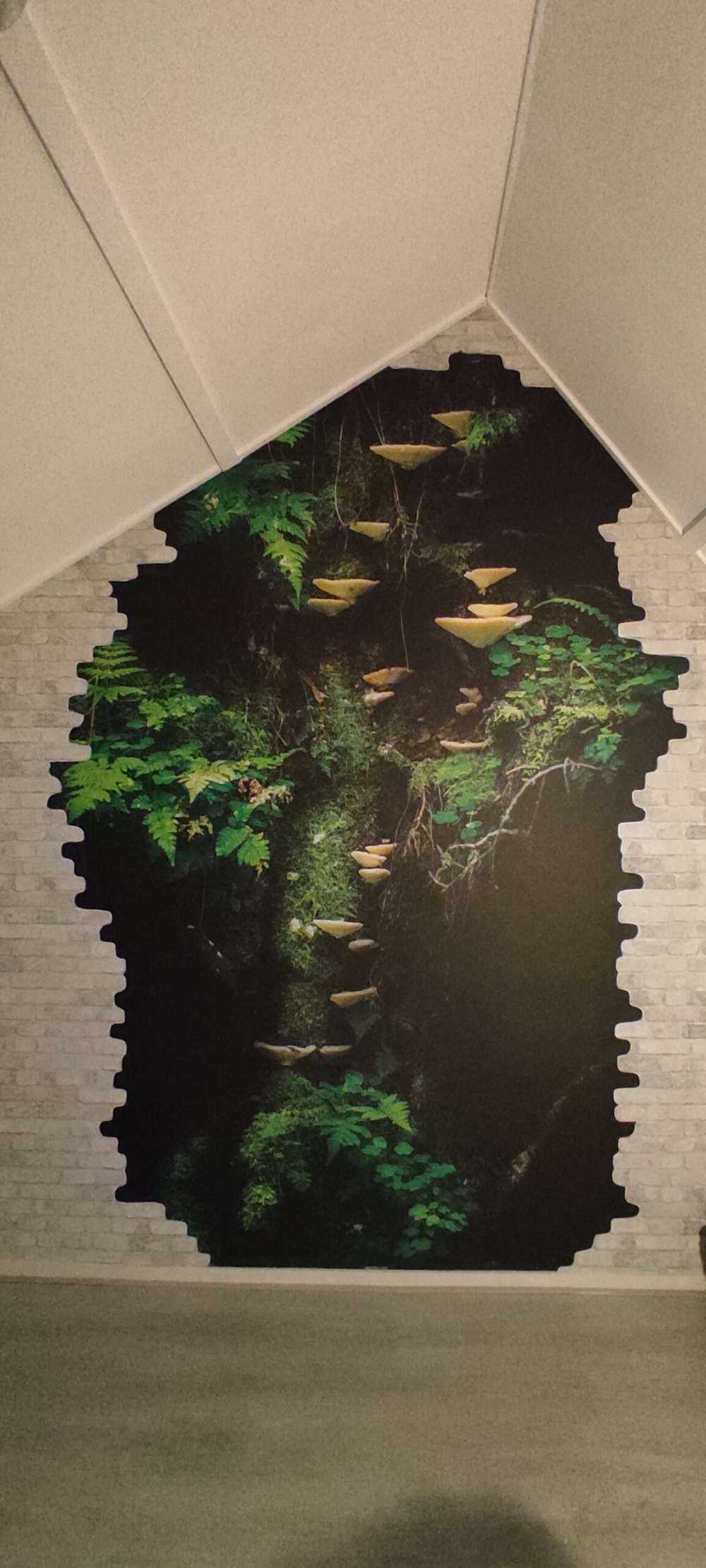Mushroom Wall