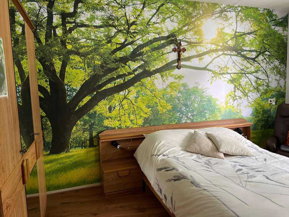 Härligt träd med grönt gräs