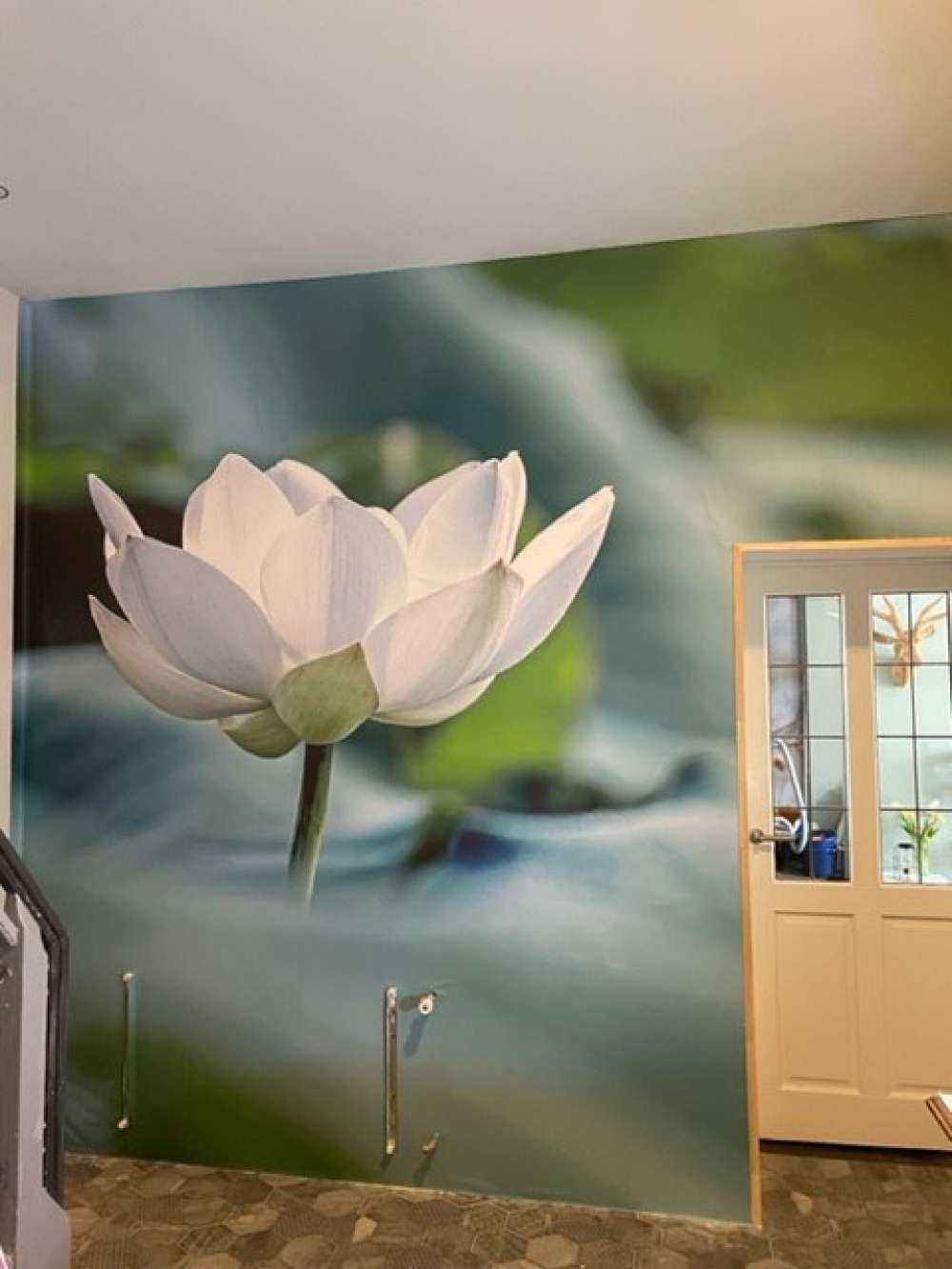 Vit lotusblomma