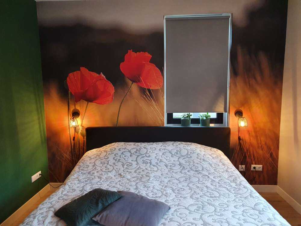 Vallmo i ett vetefält