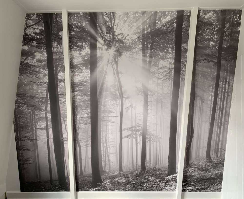 Efterårets løvskov