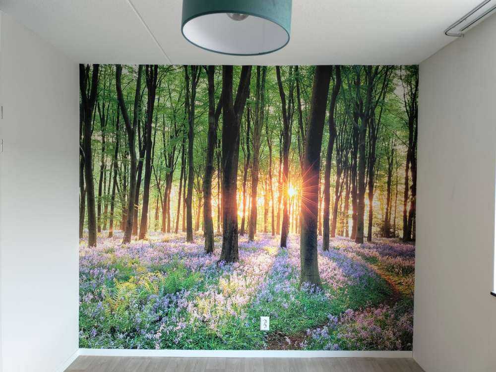 Skovsti ved solopgang