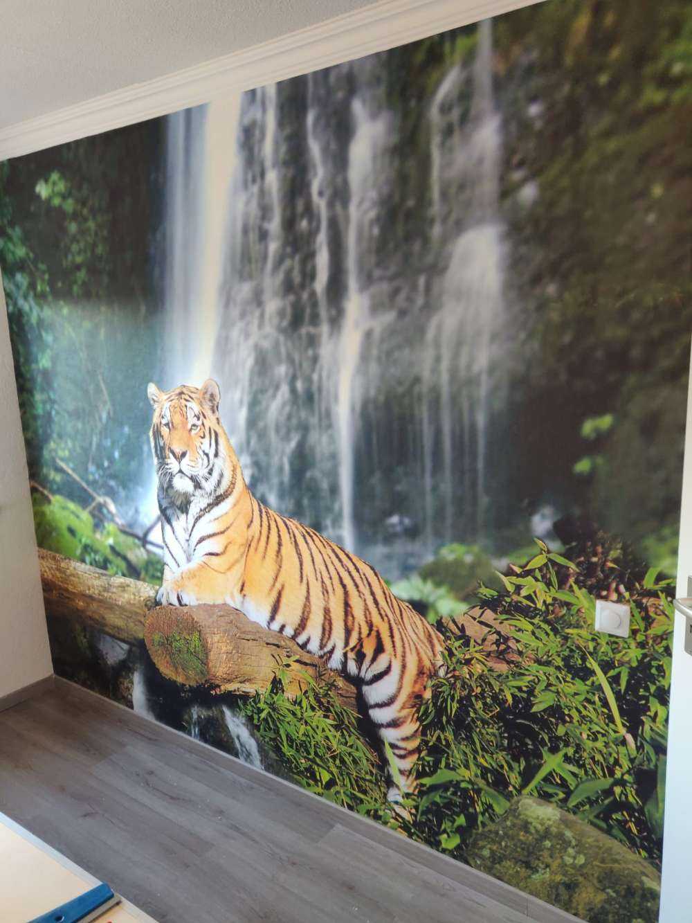 Tiger i junglen