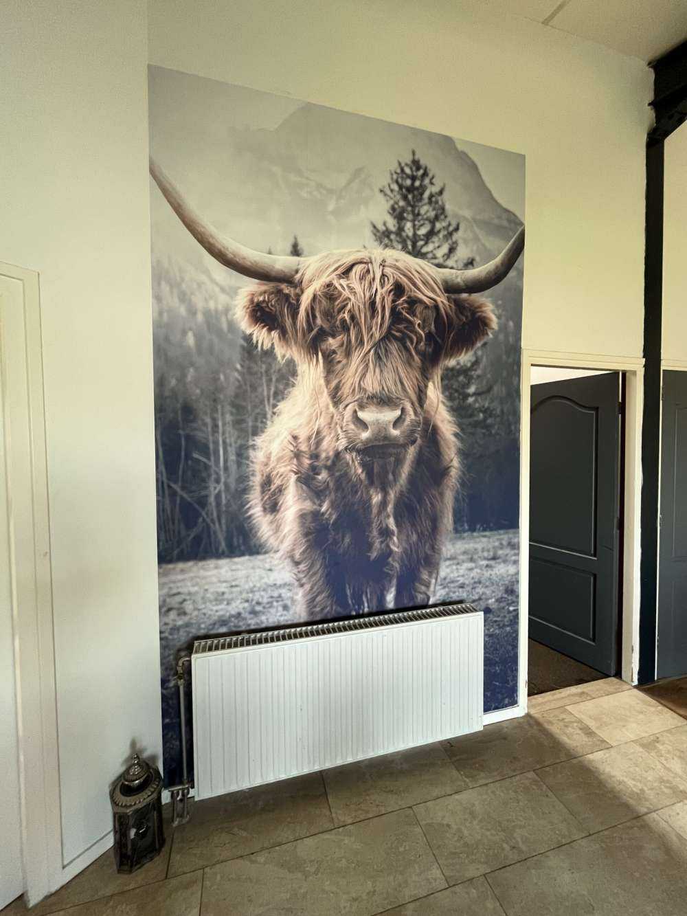 Scottish højlander ved skoven