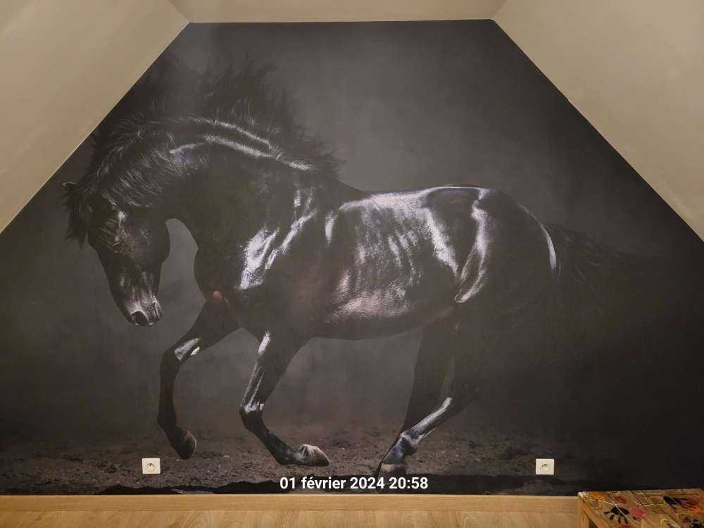 Svart hingst