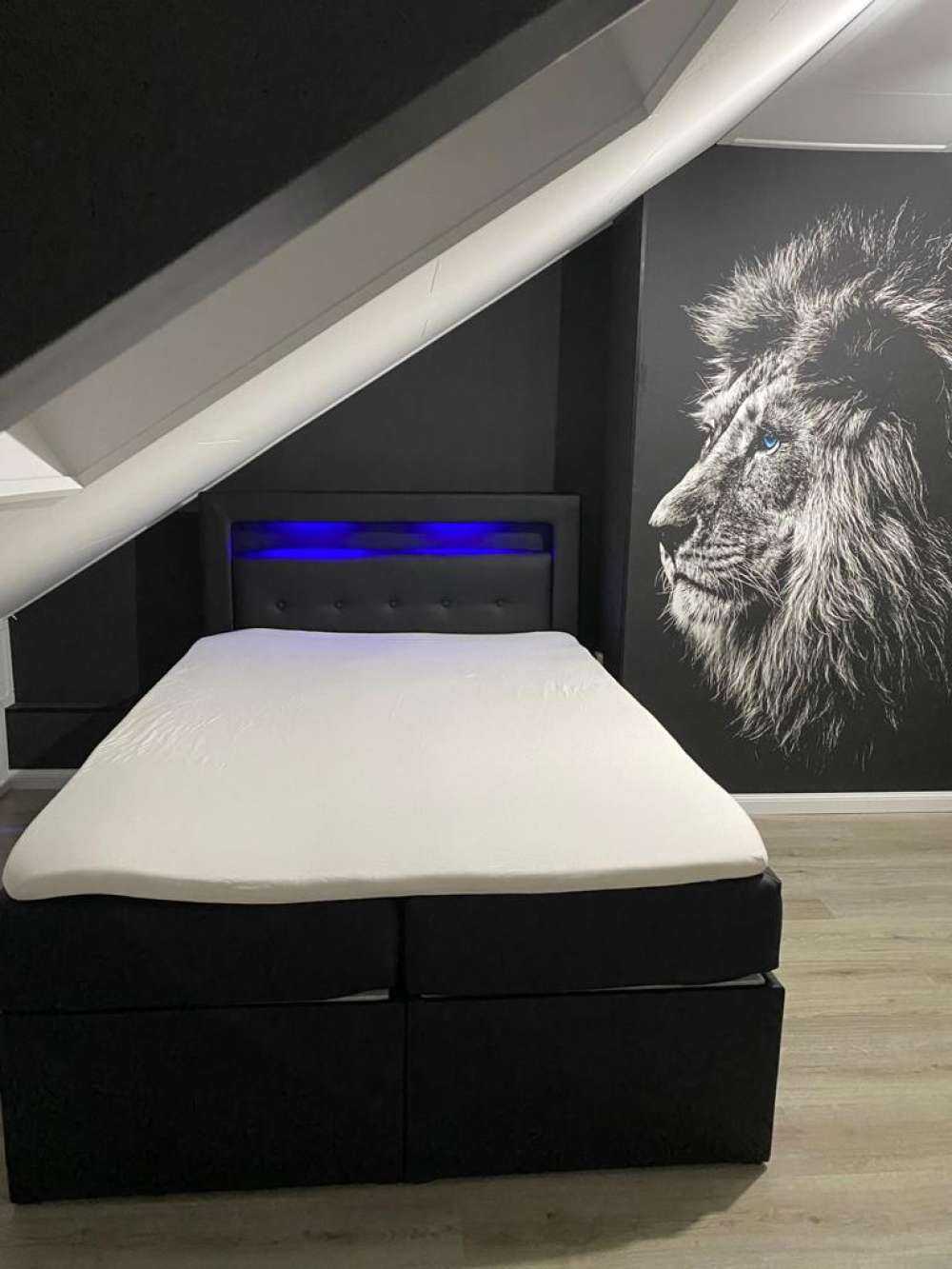 Lejon med blå ögon