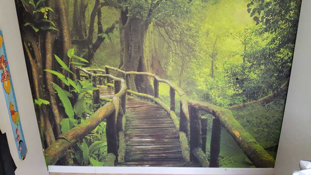 Träbro till och med en grön djungel