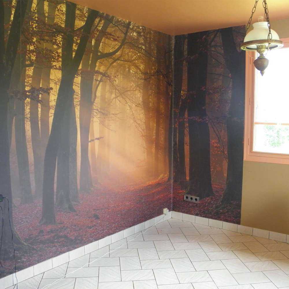 Mystisk efterårsskov