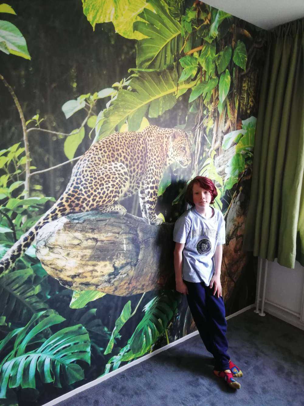 Leopard på en gren