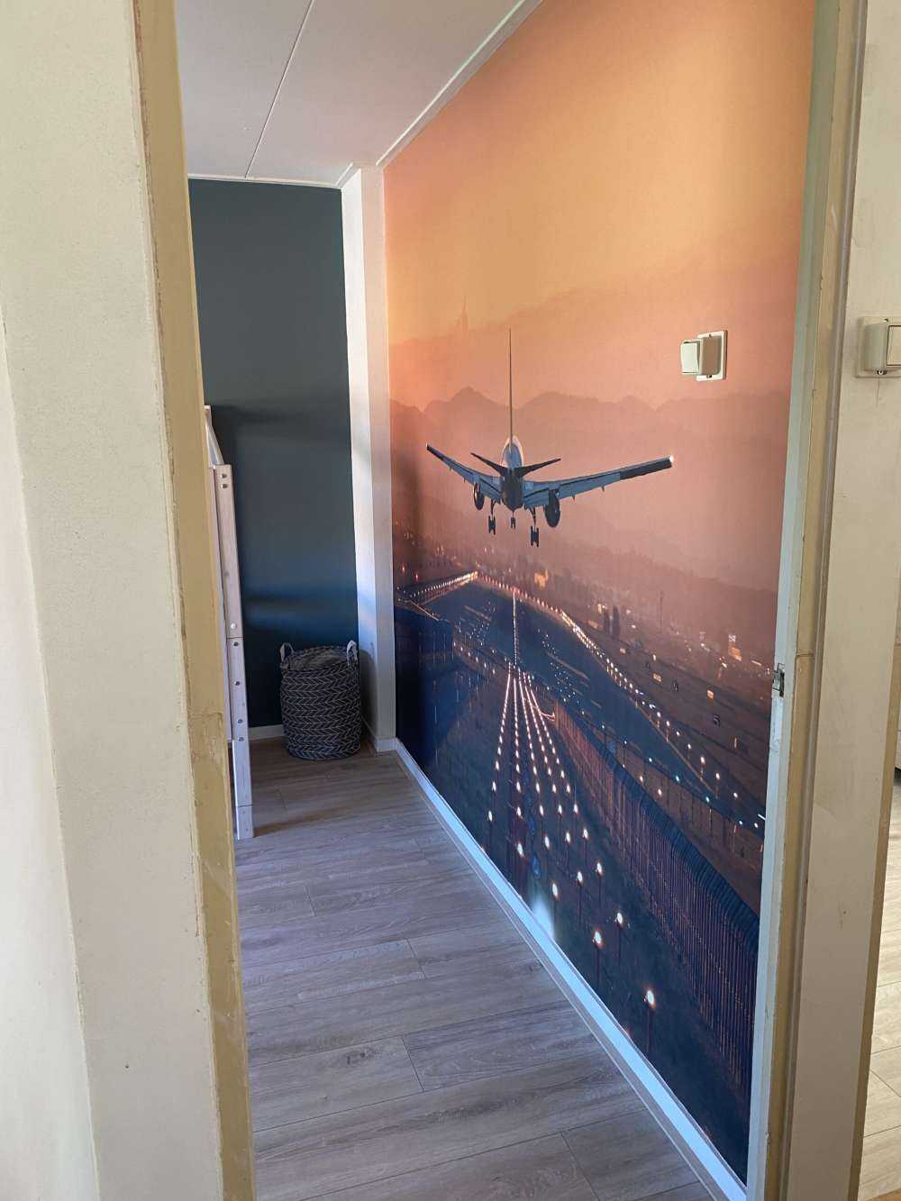 Landingsfly i aftensolen