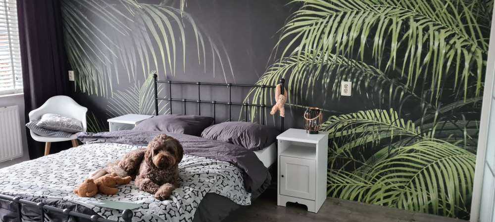 Plant med grønne blade