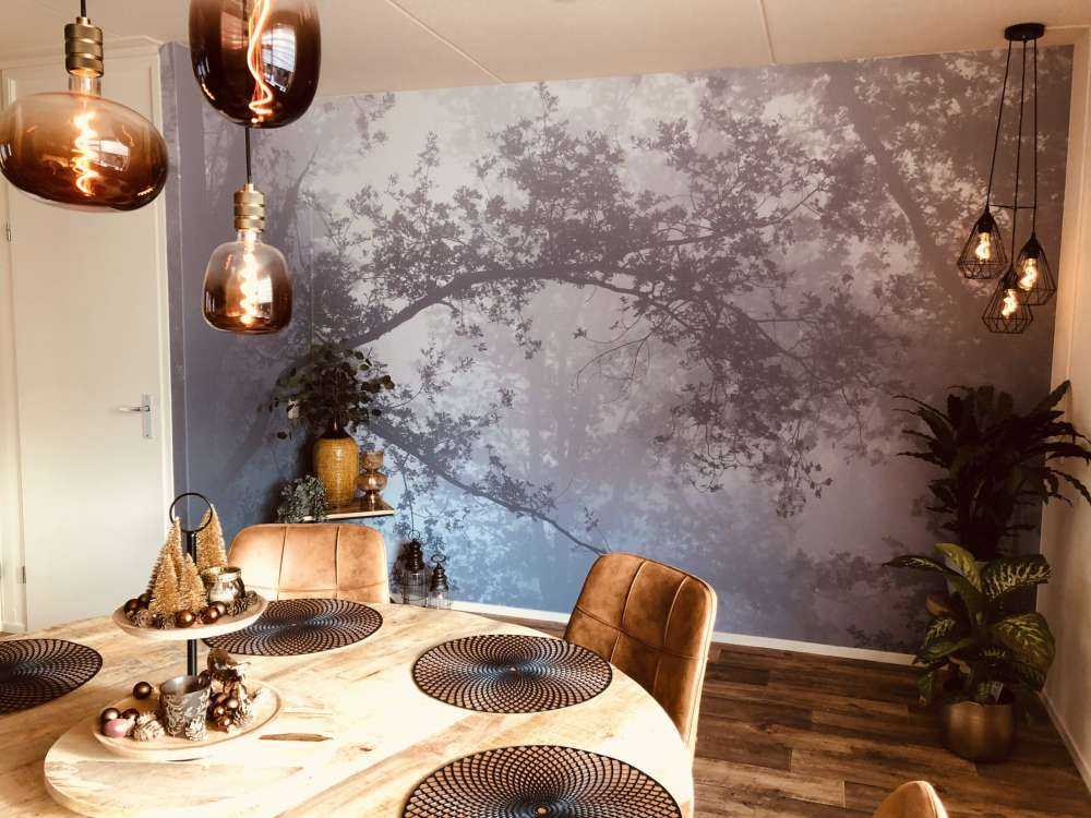vakre skog i tåka