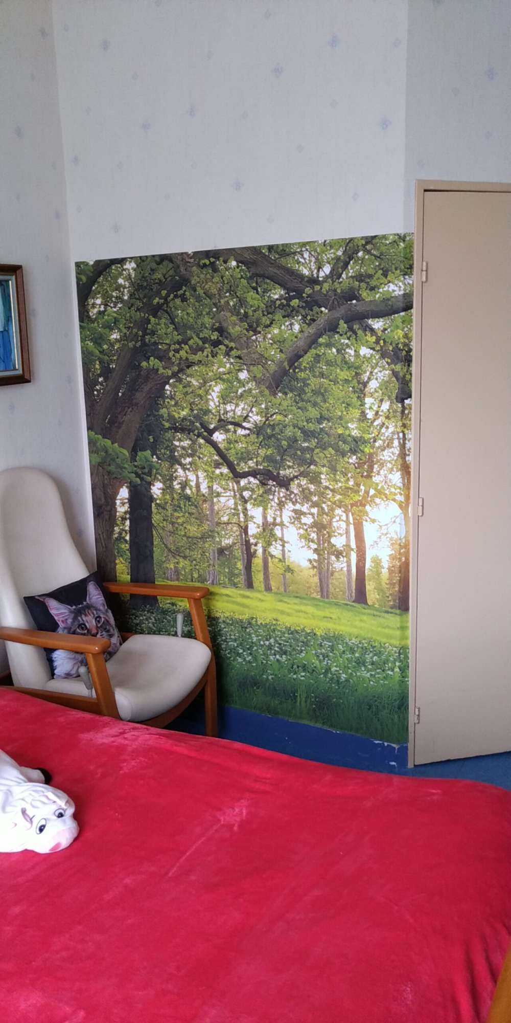 Åpen plass i skogen