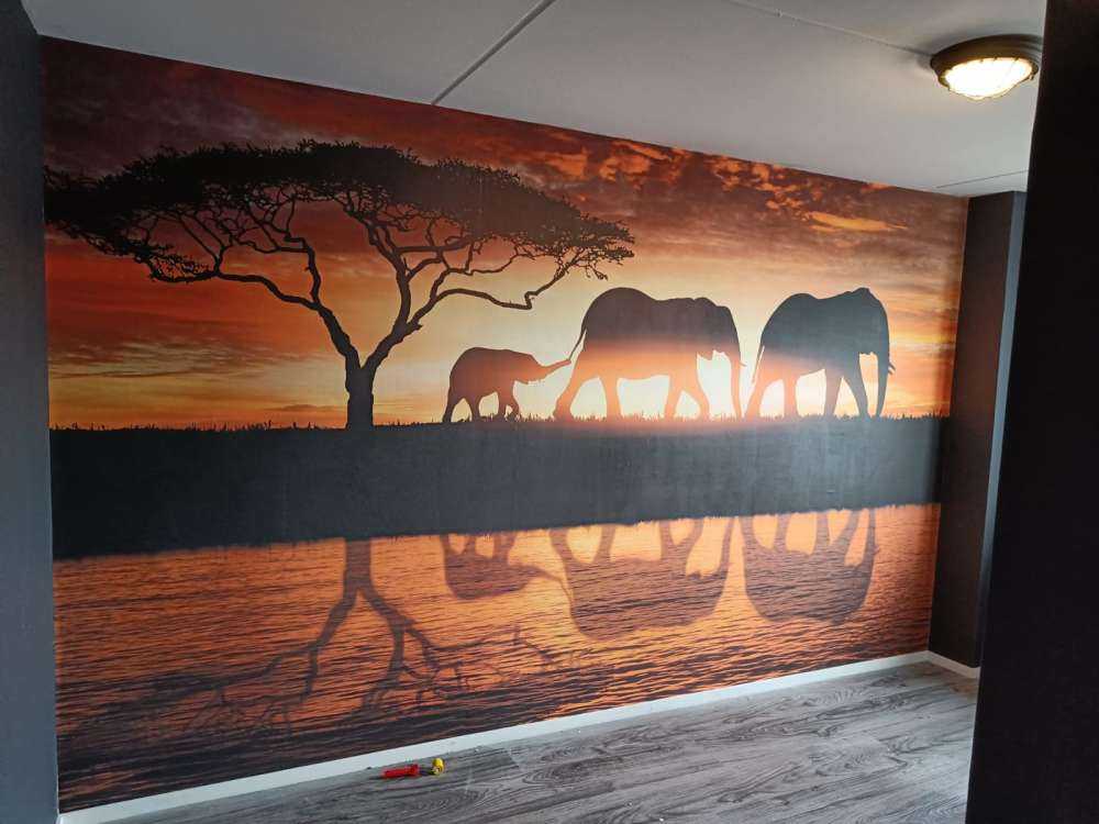 Elefanter i savannen