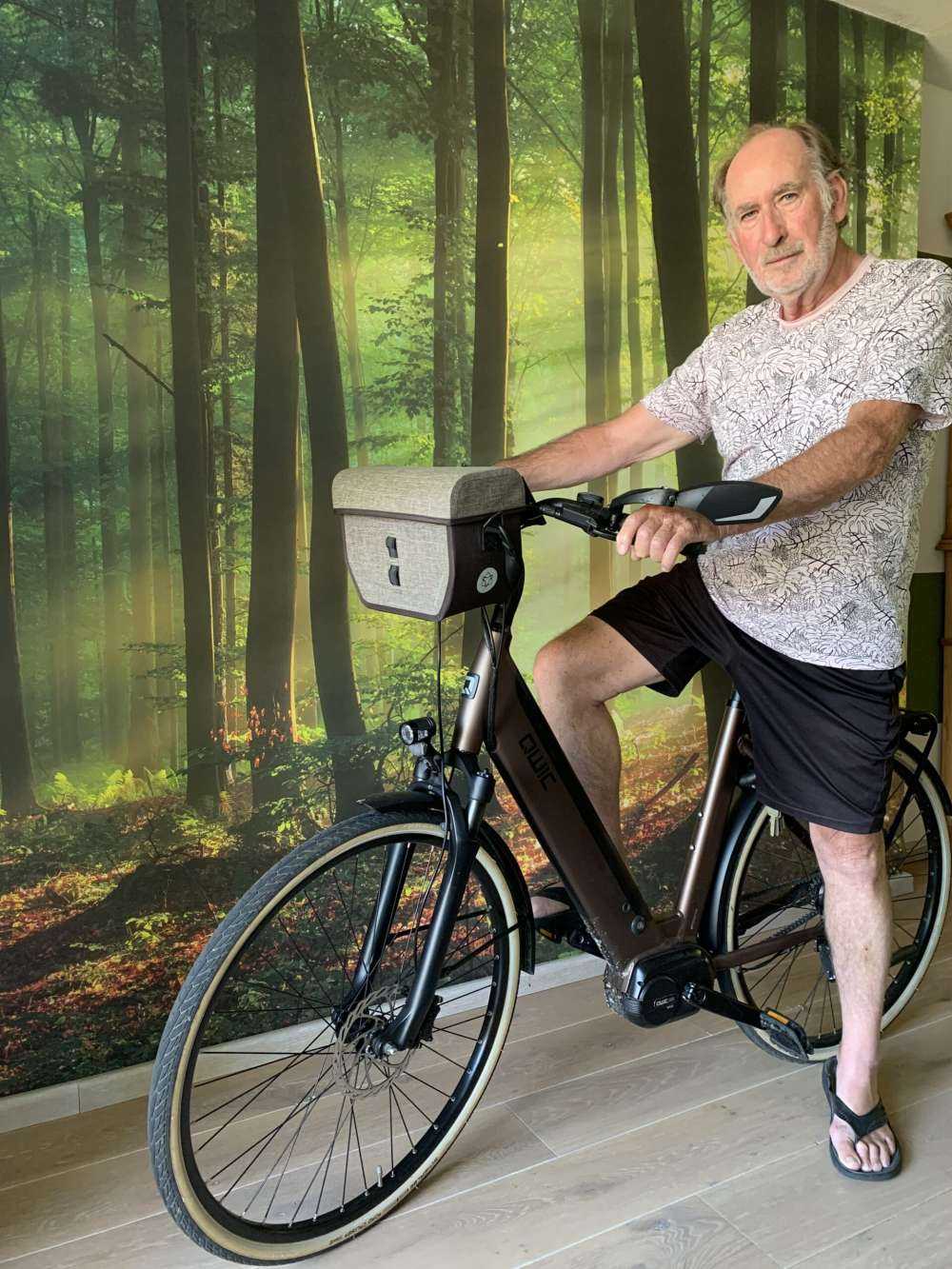 Morgonsol blockerar träden