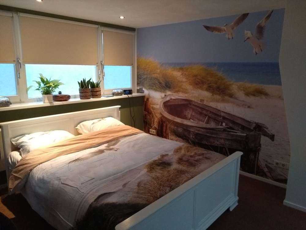 Gammal fiskebåt, måsar, skog och hav