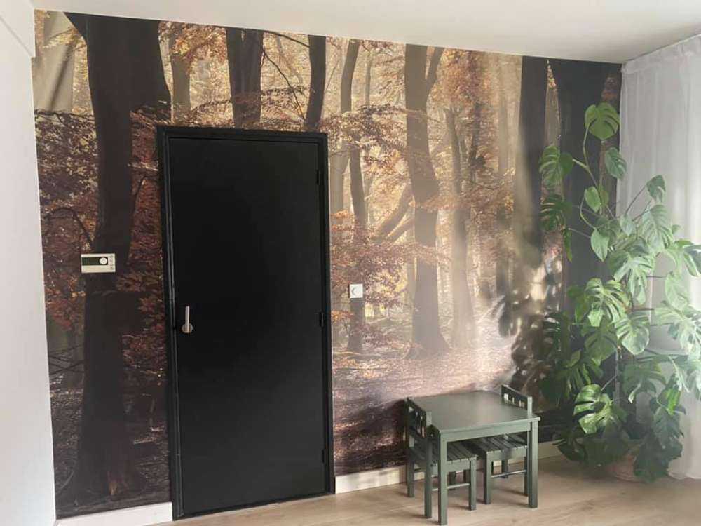 Efterårsfarver i skoven