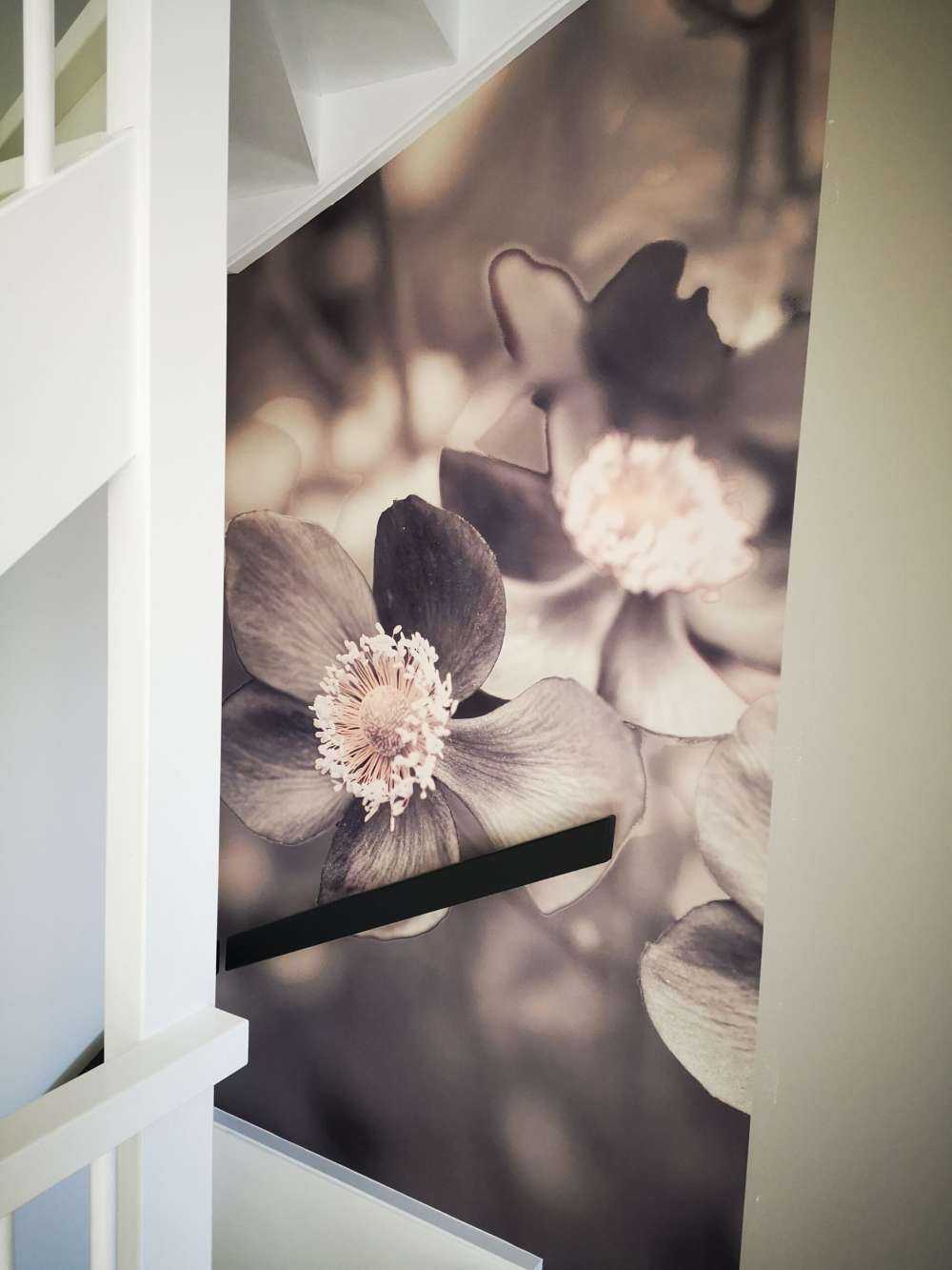 Anemone blomst