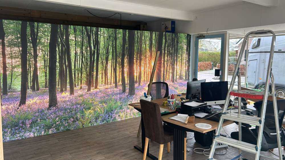 Skovsti ved solopgang